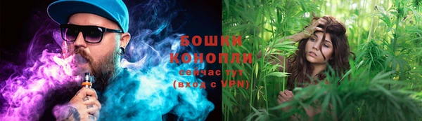 шишки Абдулино