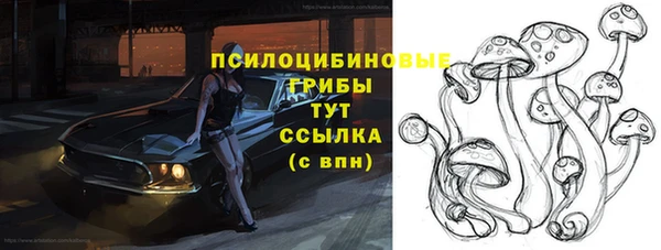 метадон Абаза
