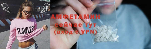 ГАЛЛЮЦИНОГЕННЫЕ ГРИБЫ Михайлов