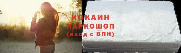 ГАЛЛЮЦИНОГЕННЫЕ ГРИБЫ Михайлов