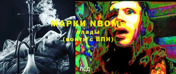 ГАЛЛЮЦИНОГЕННЫЕ ГРИБЫ Михайлов