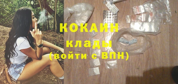 ГАЛЛЮЦИНОГЕННЫЕ ГРИБЫ Михайлов