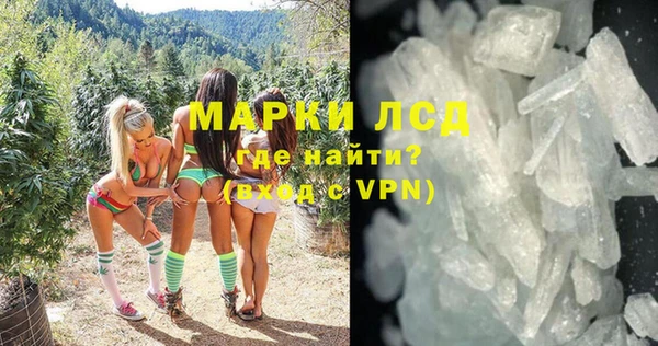 ГАЛЛЮЦИНОГЕННЫЕ ГРИБЫ Михайлов